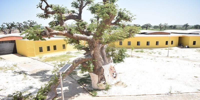 Photos: Découvrez le Centre Sectoriel de formation professionnelle aux métiers de la mécanique et des engins motorisés (CSFP-MEM) de Diamniadio