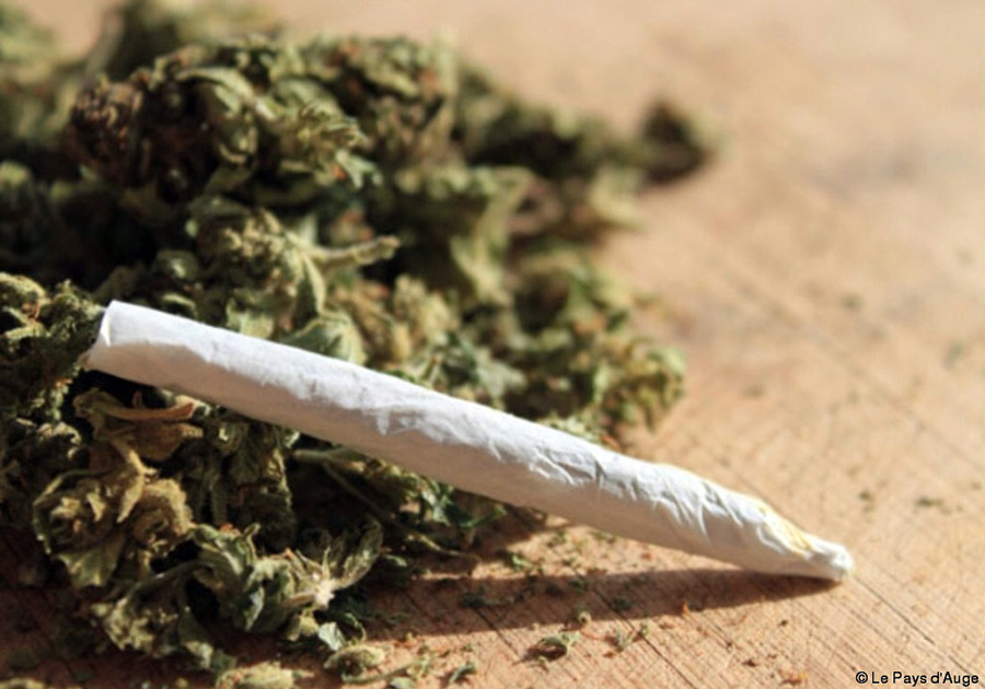 Université Cheikh Anta Diop de Dakar: Quatre étudiants arrêtés pour trafic de drogue