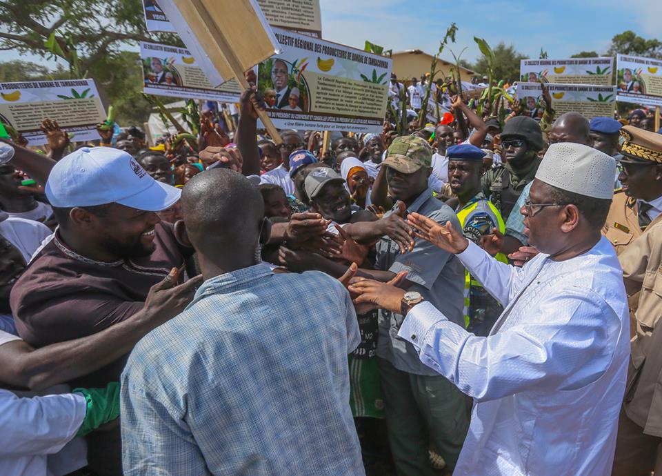 VIDEO - Mobilisation des apéristes de Tamba pour l'accueil du Président Macky Sall