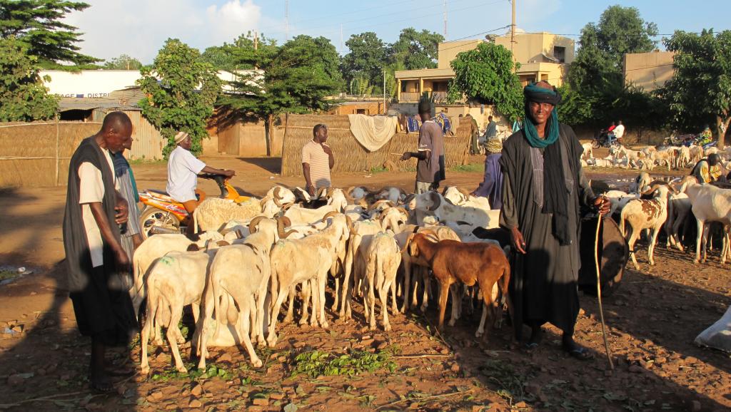 Mali: des civils peuls tués à Ouenkoro, dans le centre du pays