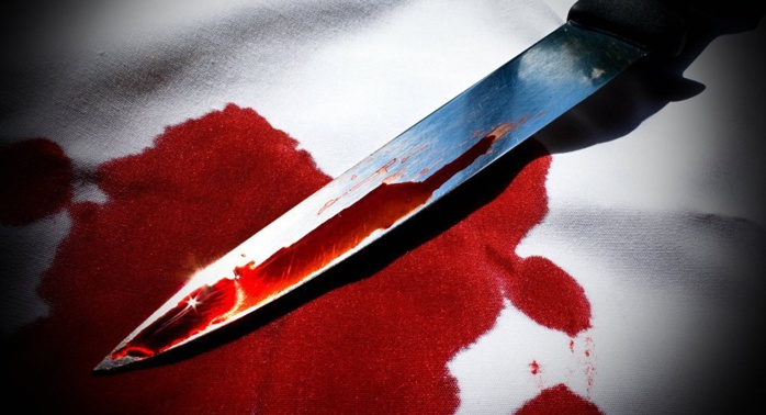 Drame aux HLM: Un ado poignarde mortellement sa tante 