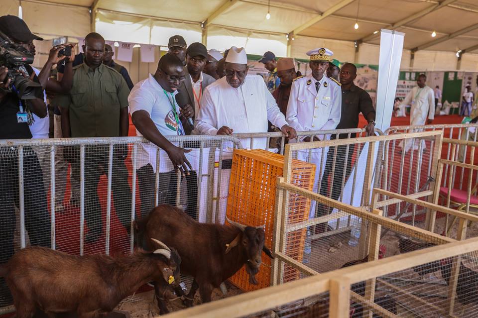 Photos Forte mobilisation à Ranérou Ferlo pour la Journée nationale
