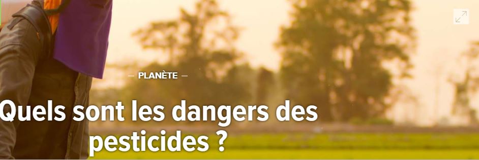 Science et environnement : Quels sont les dangers des pesticides ?