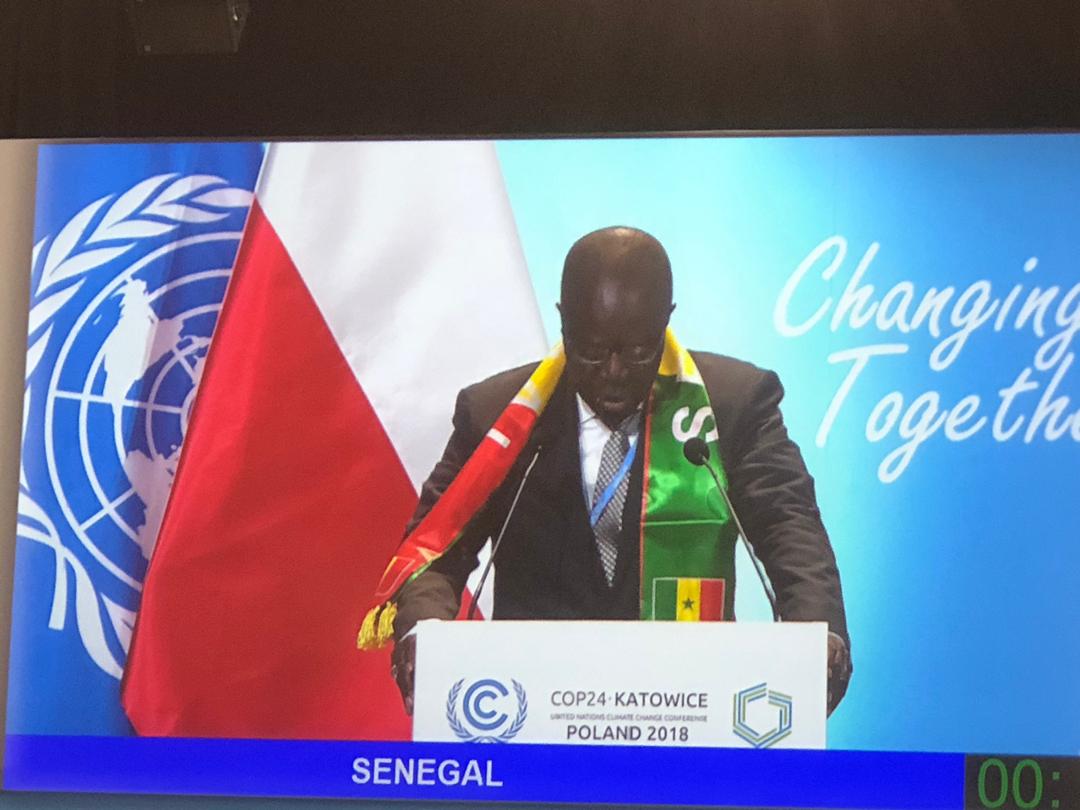 PHOTOS- Mame Thierno Dieng, le ministre de l'Environnement au Cop24 PHOTOS- Mame Thierno Dieng, le ministre de l'Environnement au Cop24