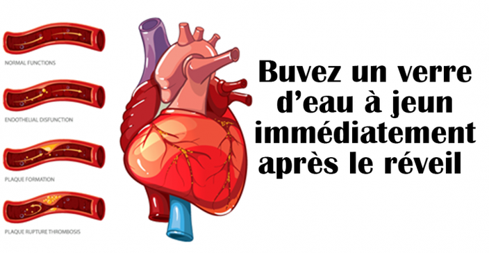 Boire de l’eau le matin sur un estomac vide est un médicament naturel