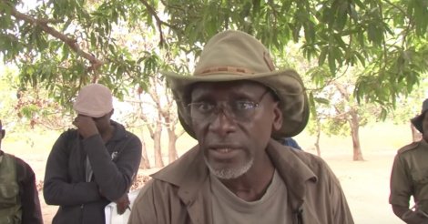  Trafic illégal du bois de la Casamance: Le Mfdc en a tiré plus de 10 milliards de F Cfa