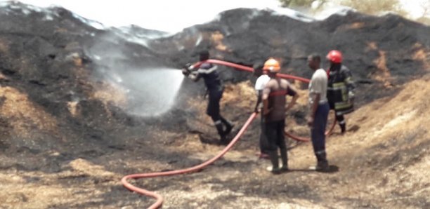 Incendie à la Sonacos de Diourbel : les pertes évaluées à 700 000 francs CFA, selon Pape Dieng