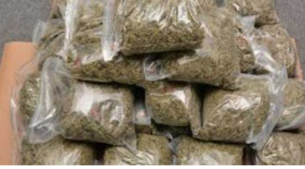 Saisine de drogue à Foundiougne: La valeur s’estime à 13 740 000 F Cfa