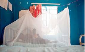 Lutte contre le paludisme : Dakar et Banjul vont distribuer 10 millions de MILDA