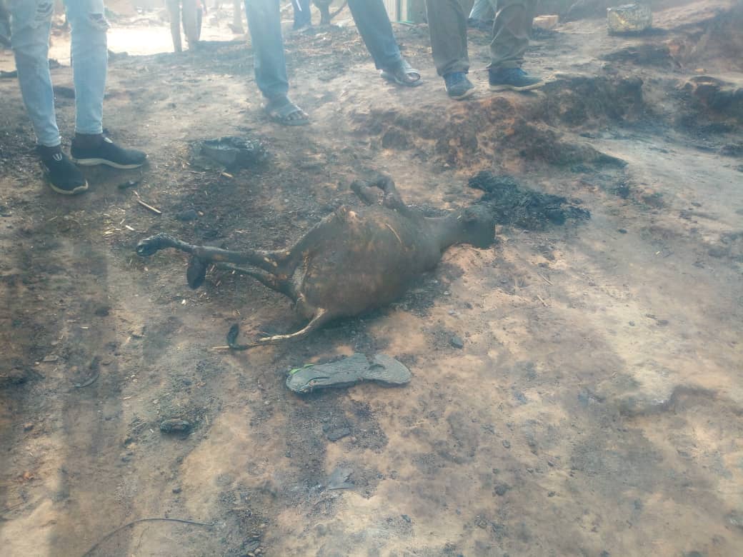 Images de l'incendie dans le village Kossy Aly Gueye