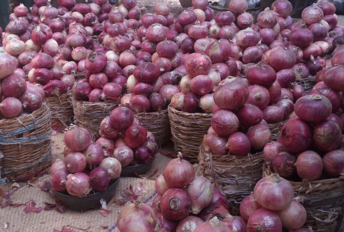Mévente de l’oignon à Potou, les producteurs demandent à l’Etat de revoir sa politique