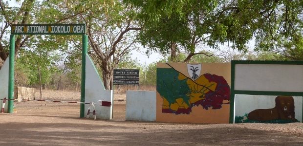 Exploitation illégale d’or au Parc Niokolo Koba : le maire de Tomborokoto entendu par la gendarmerie