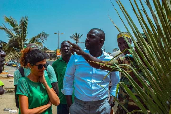 PHOTOS - Programme de remplacement des palmiers de la Corniche avec le ministre Abdou K. FOFANA et l’association Ecolibri