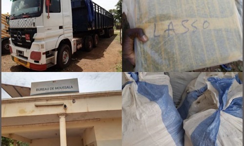 Tambacounda: La Douane saisit près de 600 kg de chanvre indien en une semaine