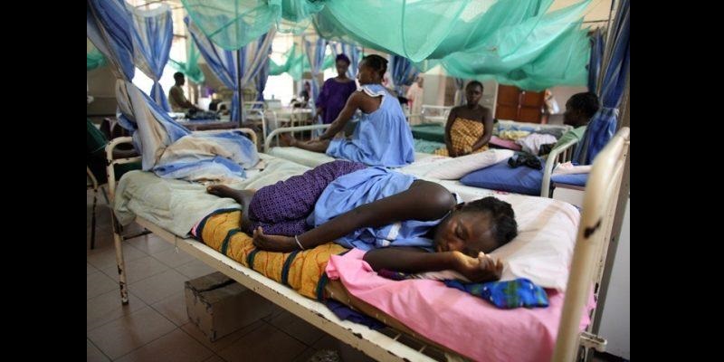 Hépatite: L'OMS exhorte les pays à investir dans la lutte