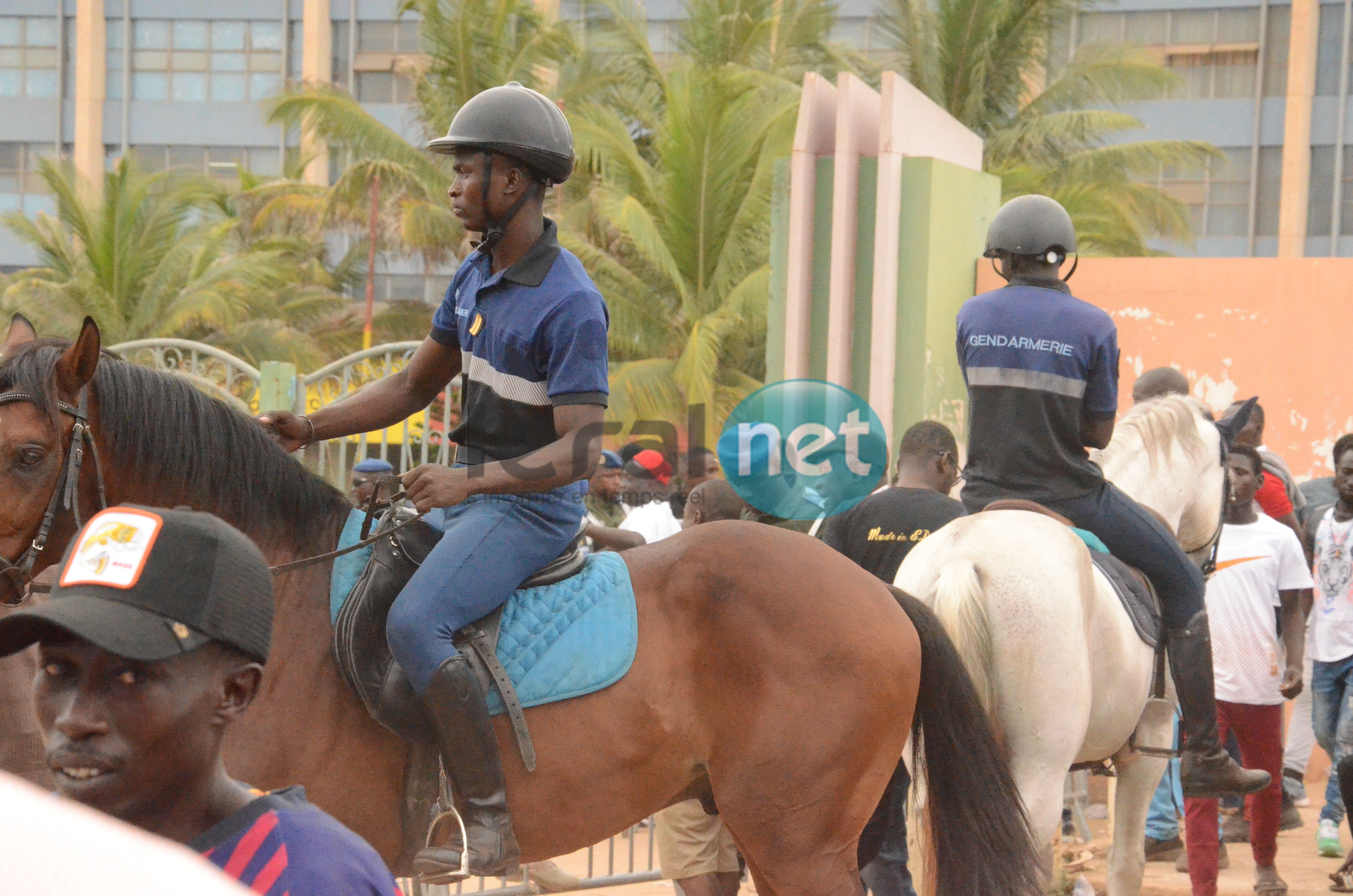 PHOTOS - Modou Lô vs Eumeu Séne: Un combat sous haute surveillance des forces de l'ordre