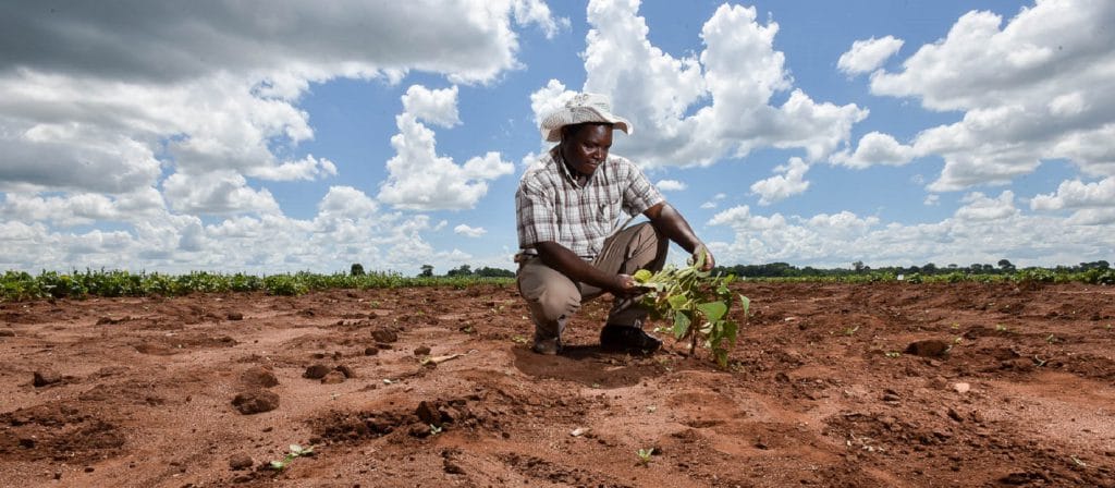 Adapter l’agriculture africaine au changement climatique