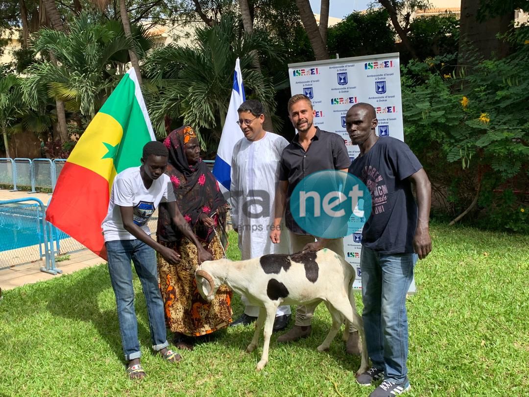 Photos: Don de moutons aux nécessiteux par l'Ambassadeur d’Israël au Sénégal 