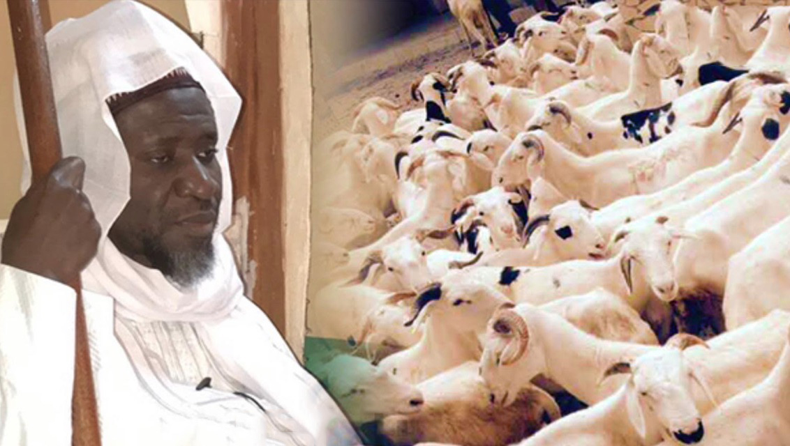 Moutons, chèvres, boeufs: Cheikh Mahy Cissé à la rescousse des nécessiteux
