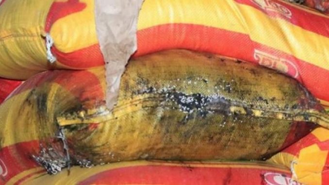 Alerte à Yarakh: Des tonnes de riz pourri empoisonnent la vie des populations
