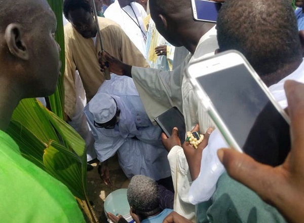 Reboisement à Touba: Ce geste fort du Khalife Serigne Mountakha Mbacké 