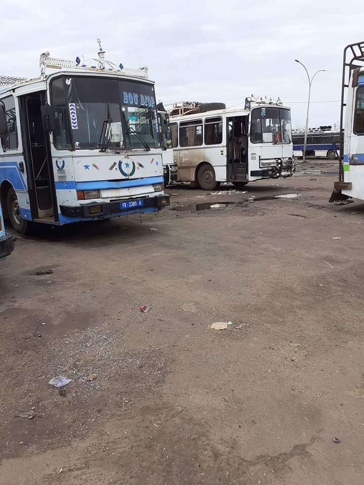 Kaolack: Rahma convoie une dizaine de cars pour assister à l'inauguration de la Grande mosquée Massalikul Jinaan