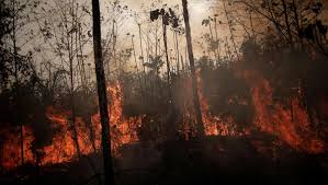 Incendies en Amazonie: Les hospitalisations d'enfants en hausse par rapport à 2018