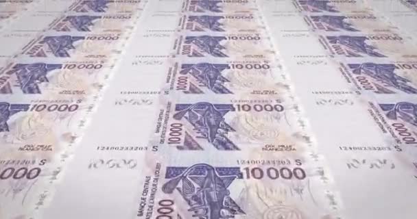 Liquidation de Cafal: Un scandale à 1,117 milliard de FCfa