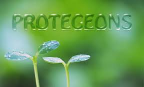 SPS Genève 2019: la Direction de la Protection des végétaux en pleine préparation 