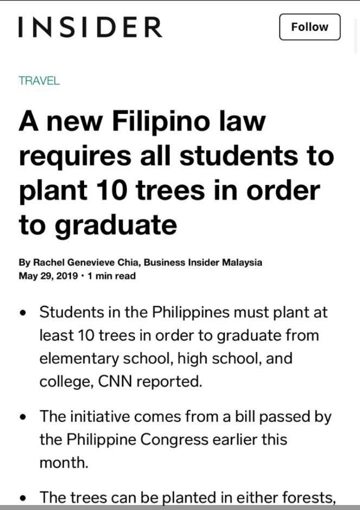 Philippines : 10 arbres à planter d’un cycle à l’autre