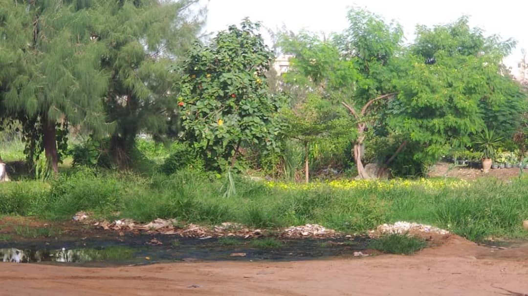 Cri du cœur: Le Parc de Hann appelle au secours