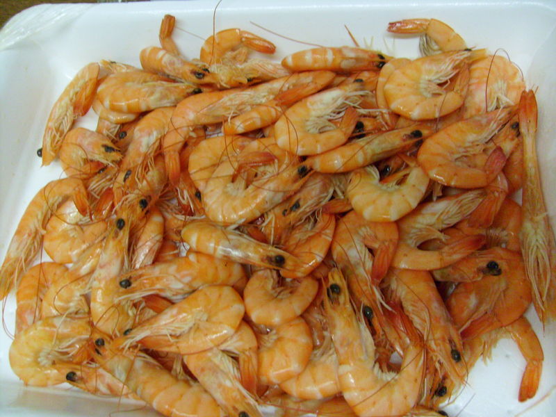 ALERTE- Des paquets de crevettes aux dates de péremption falsifiées inondent le marché