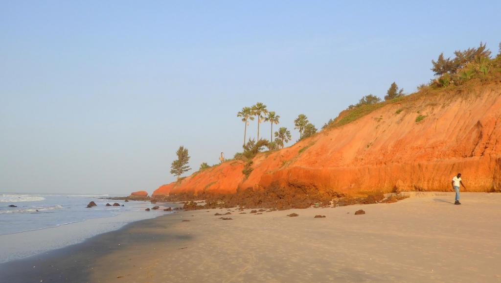 Gambie: Des arbres comme rempart face au recul du littoral