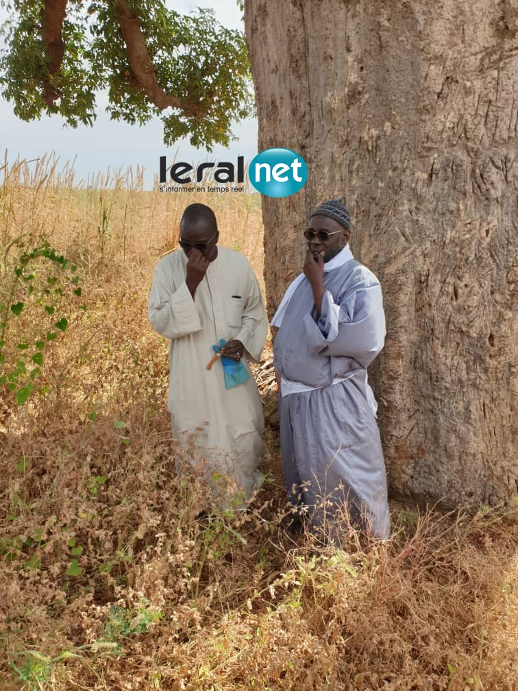 PHOTOS - SAMUEL SARR en plein travail dans les champs de son marabout