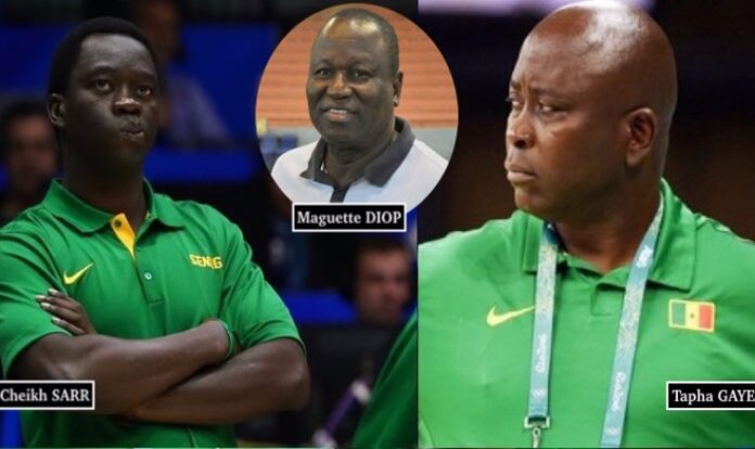 Basket: La fédération se sépare de Cheikh Sarr et Maguette Diop, et renforce Tapha Gaye