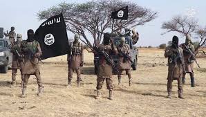Tchad : attaque meurtrière attribuée à Boko Haram près de Baga Sola