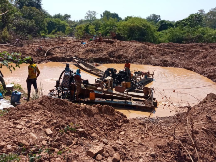 Kédougou: 7 individus arrêtés pour exploitation clandestine de minerais