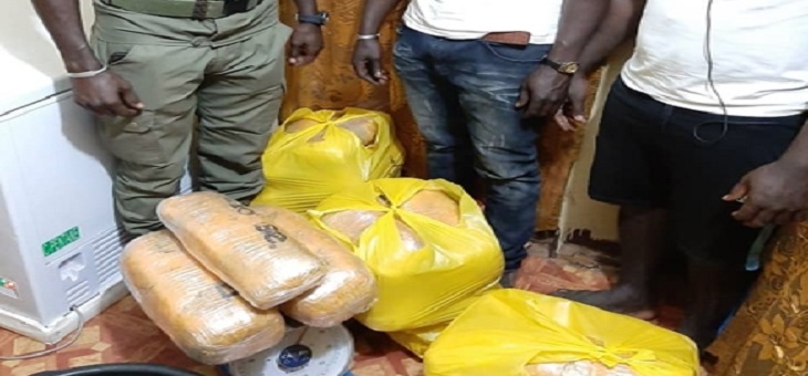 Bignona: Saisie de 35 kg de chanvre indien, deux trafiquants arrêtés