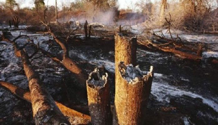 Incendie à Bandafassi: 17 cases et une mosquée du village de Thiankoumalal réduites en cendres