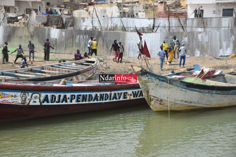 (Photos)- Manifestation des pêcheurs de Saint-Louis : Des blessés et beaucoup de dégâts matériels enregistrés