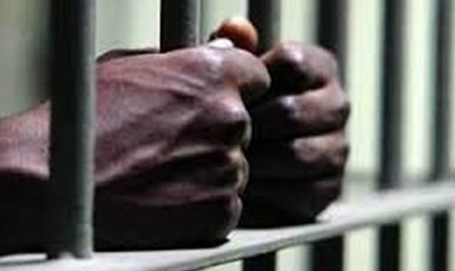 Pour avoir volé un sac de jujubes: Un tailleur prend 3 mois de prison ferme