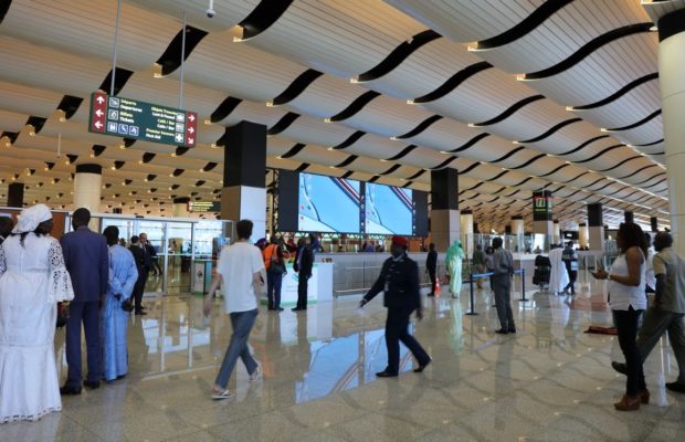 Aéroport International Blaise Diagne: Un Algérien arrêté avec 131 perroquets