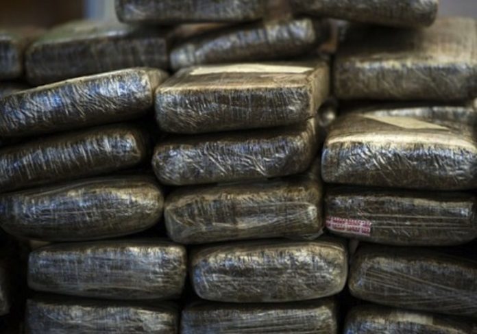 Trafic de drogue à Louga: Un réseau démantelé à Potou