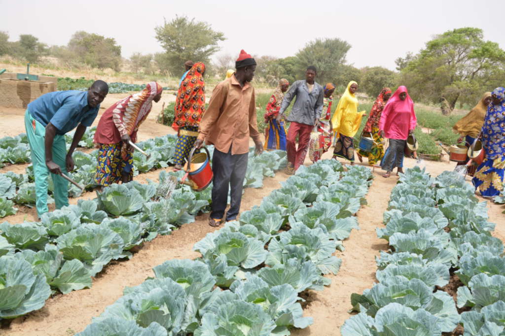 Louga/Front Social: Les agents de l’État du secteur agricole et militants du SYNTAS, crient leur ras-le-bol