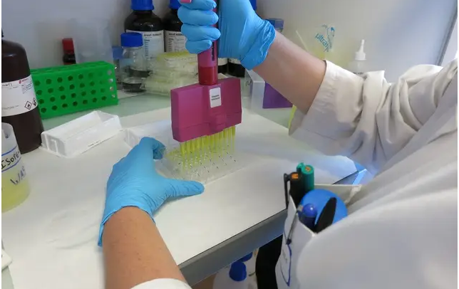 Coronavirus : Tout savoir sur XAV-19, ce traitement à base d'anticorps en cours d'élaboration
