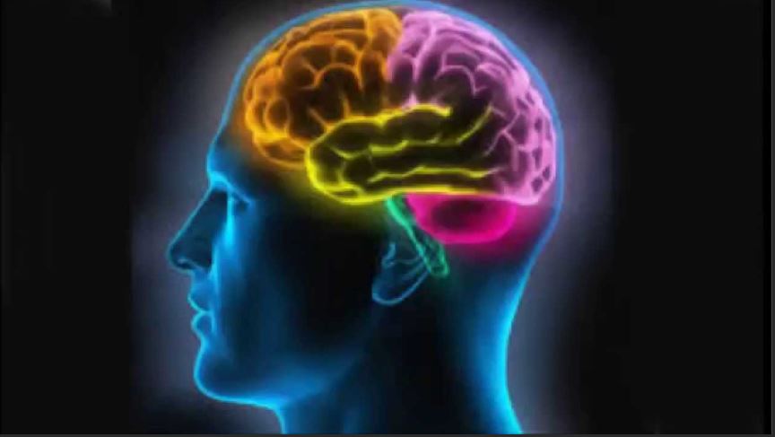 Le coronavirus affecte-t-il notre cerveau ?