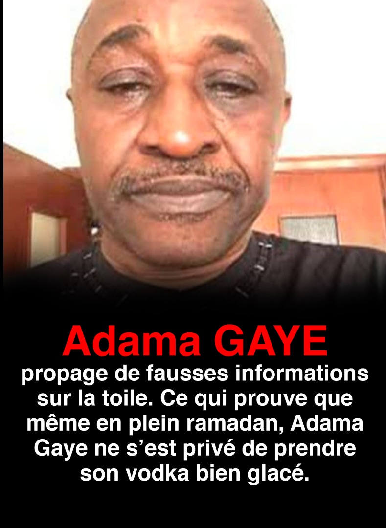 Fake news - Hospitalisation d'un fils du Président : Adama Gaye, distributeur automatique de mensonges
