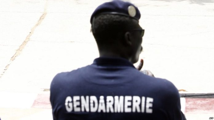Trafic de faux billets de banque: La gendarmerie retire des mains d’une bande de 06 individus, près de 2000 milliards FCFA