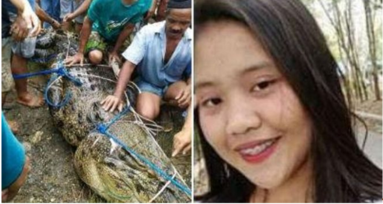Indonésie : Une ado de 17 ans meurt dévorée par un crocodile