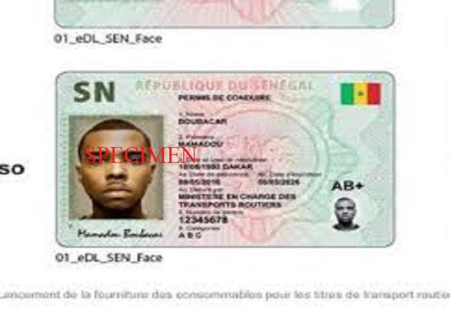 Diplomatie: Le permis de conduire sénégalais n’est plus échangeable en France